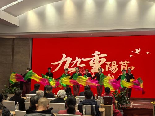 九華山祇民社區(qū)文藝匯演慶佳節(jié) 敬老溫情暖人心，文化藝術(shù)交流活動(dòng)策劃